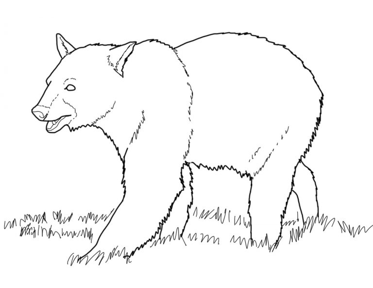 Free Printable Bear Coloring Pages For Kids