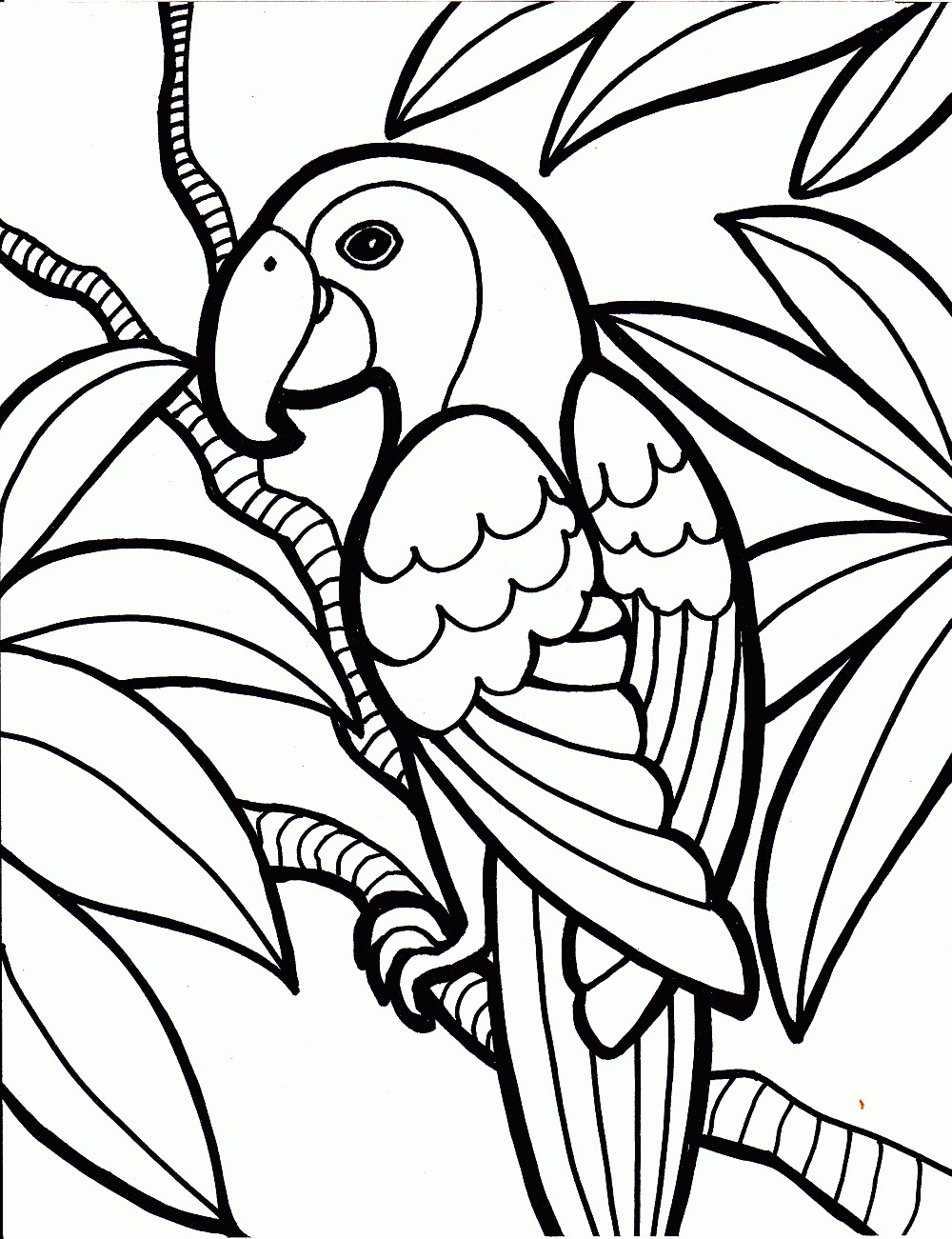 Free Printable Parrot Coloring Pages 10