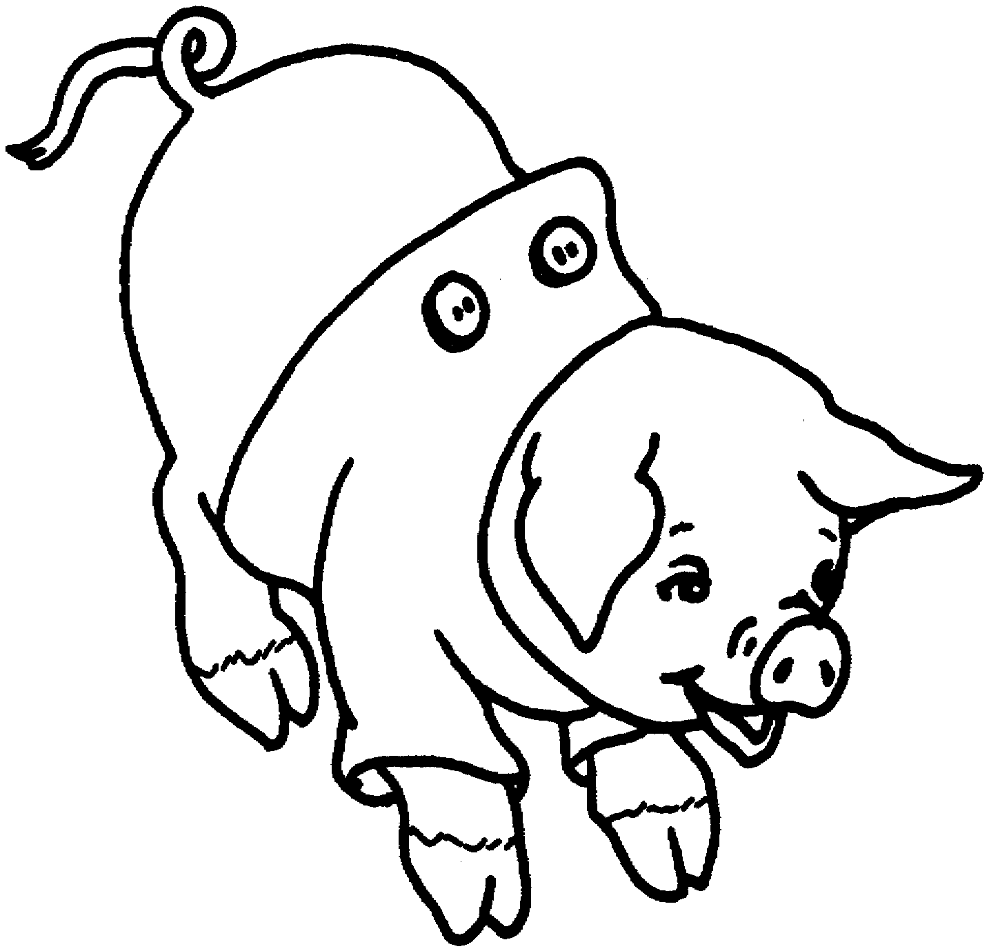 girl angry bird pig coloring pages