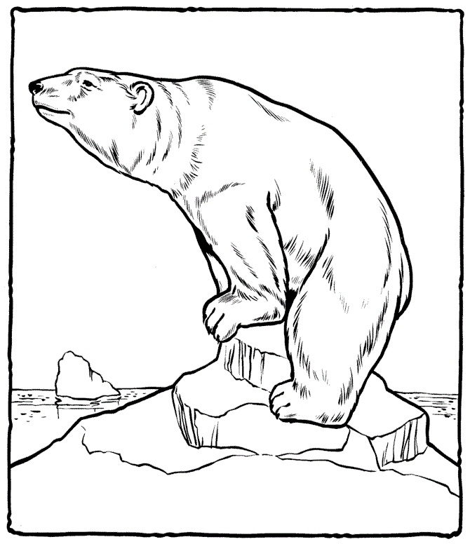 Free Printable Polar Bear Coloring Pages For Kids