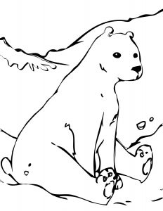 free printable polar bear coloring pages for kids