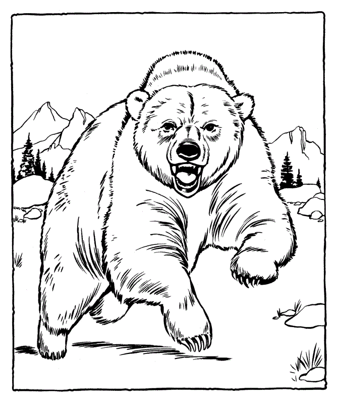 Grizzly Bear Coloring Pages Tramadol Colors
