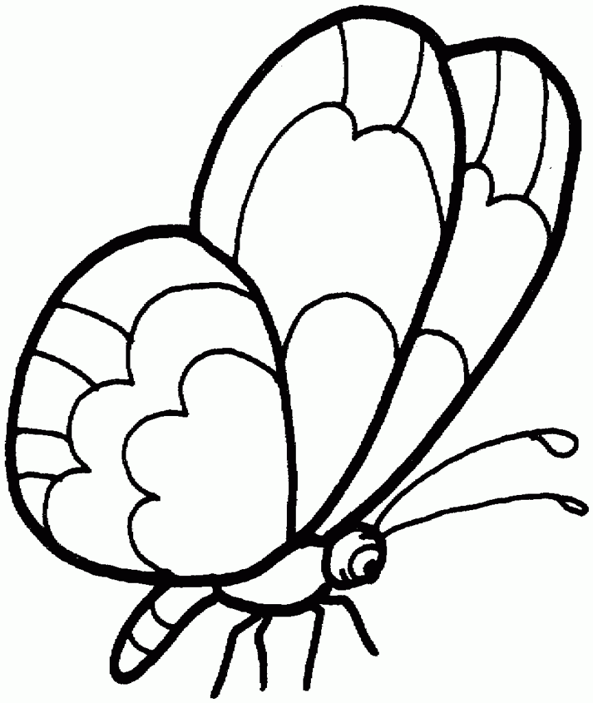 Blank Butterfly Coloring Pages - How about making your own coloring ...