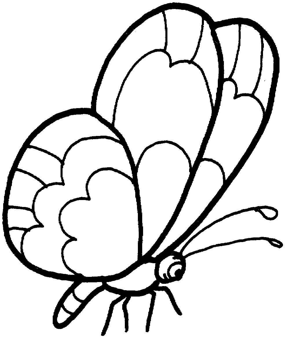 butterfly coloring pages for girls