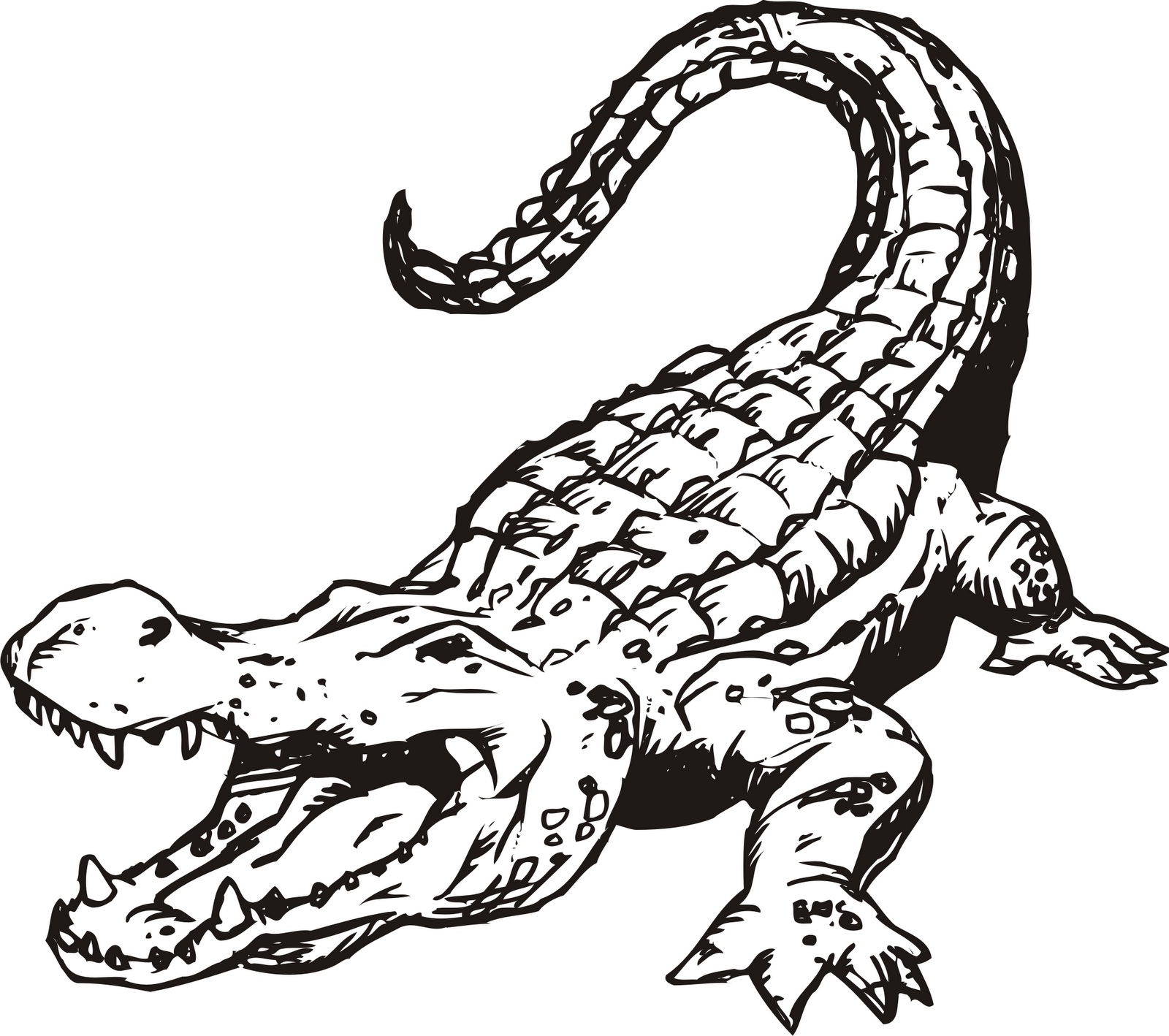 alligator coloring page for kids