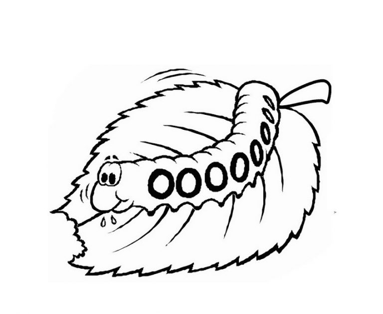 Free Printable Caterpillar Coloring Pages For Kids