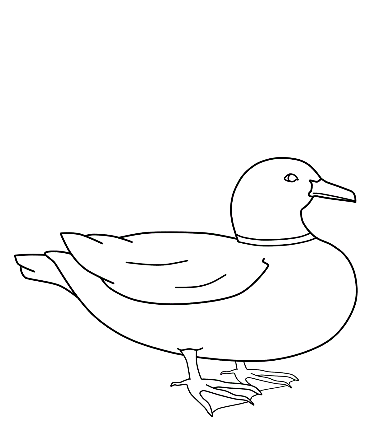 Download Free Printable Duck Coloring Pages For Kids