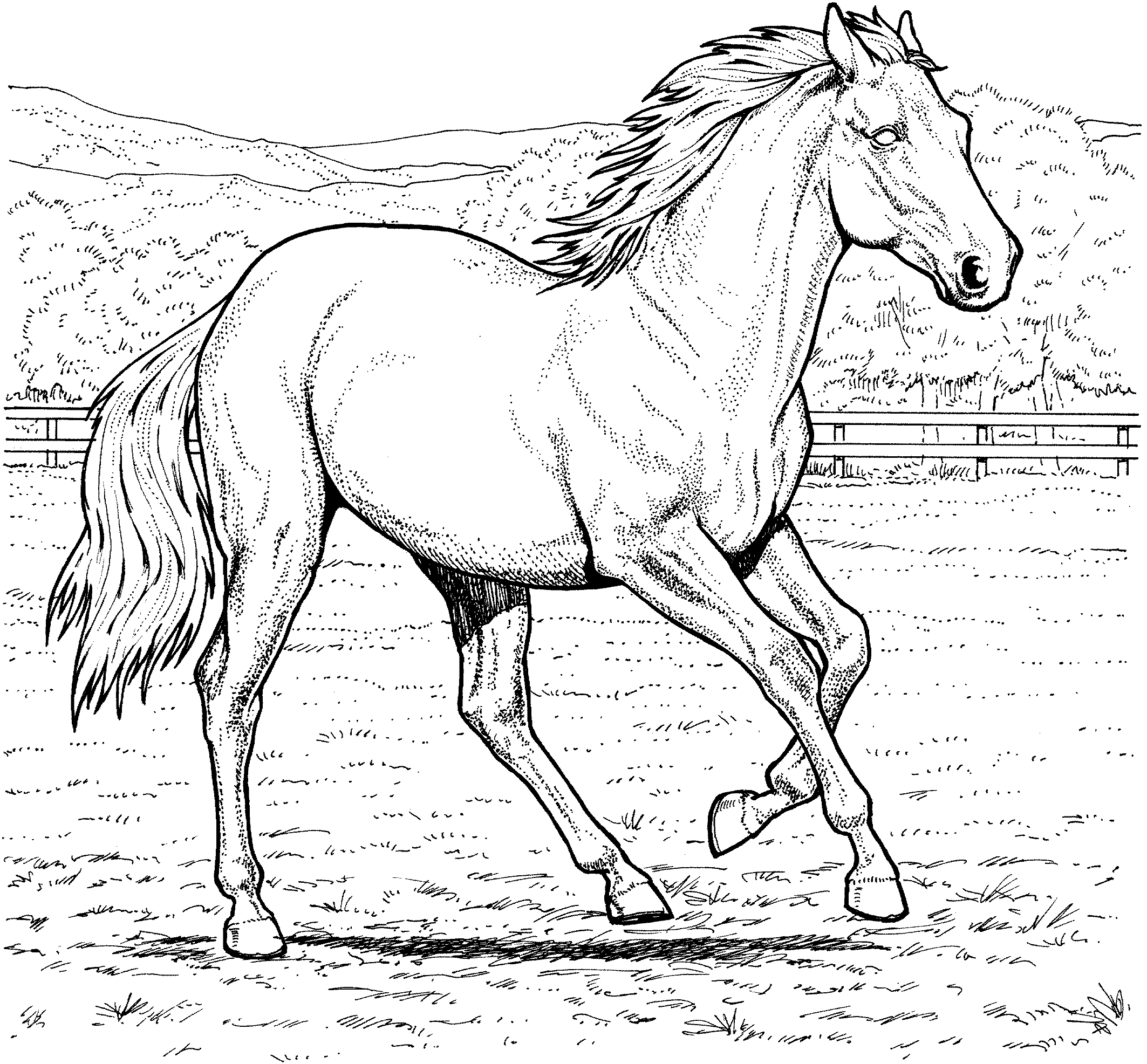 Coloring Pages Horses Printable : Horse Coloring Pages Horse Camp Printable Coloring4free Coloring4free Com