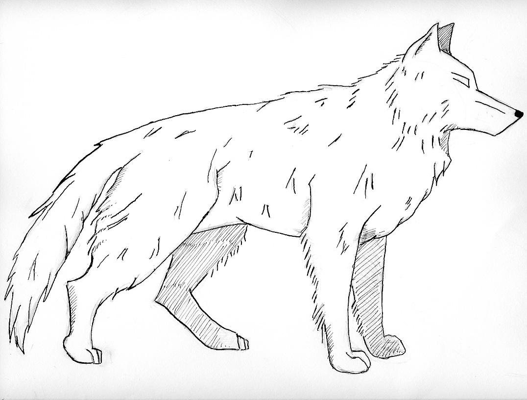 wolf dog coloring pages