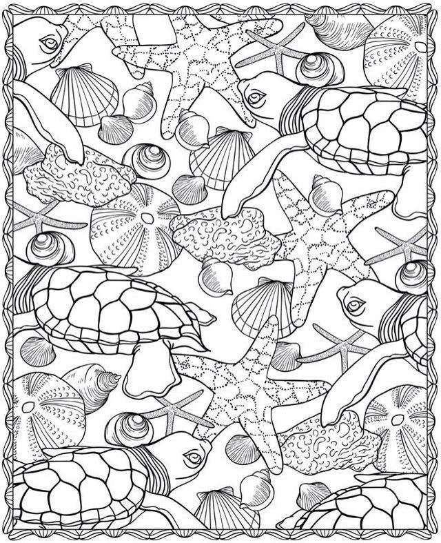 Sea Turtle Starfish Design Ocean Coloring Page 