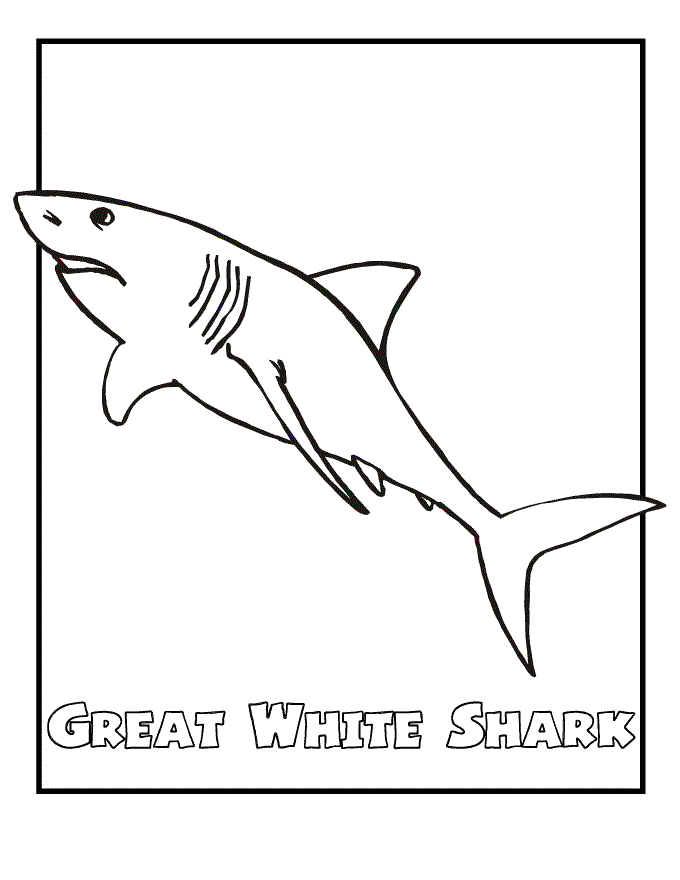 Free Printable Coloring Pages Sharks - Customize and Print