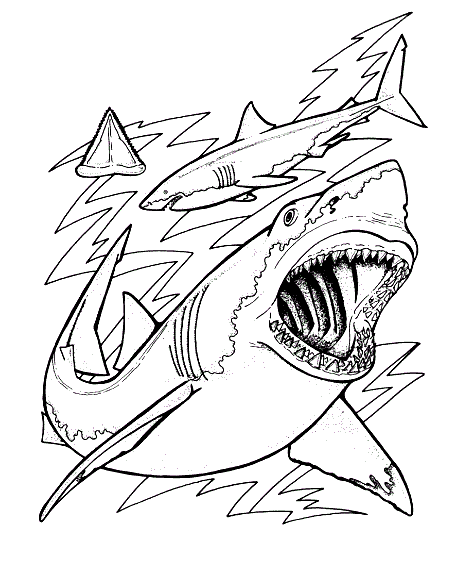 Coloring Picture Sharks 7