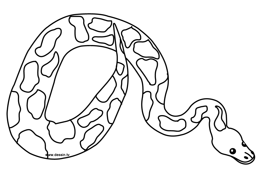 Anaconda Snake Coloring Pages