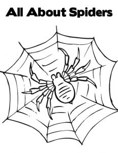 Free Printable Spider Coloring Pages For Kids