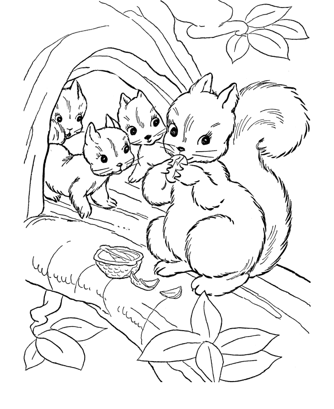 Download Free Printable Squirrel Coloring Pages For Kids