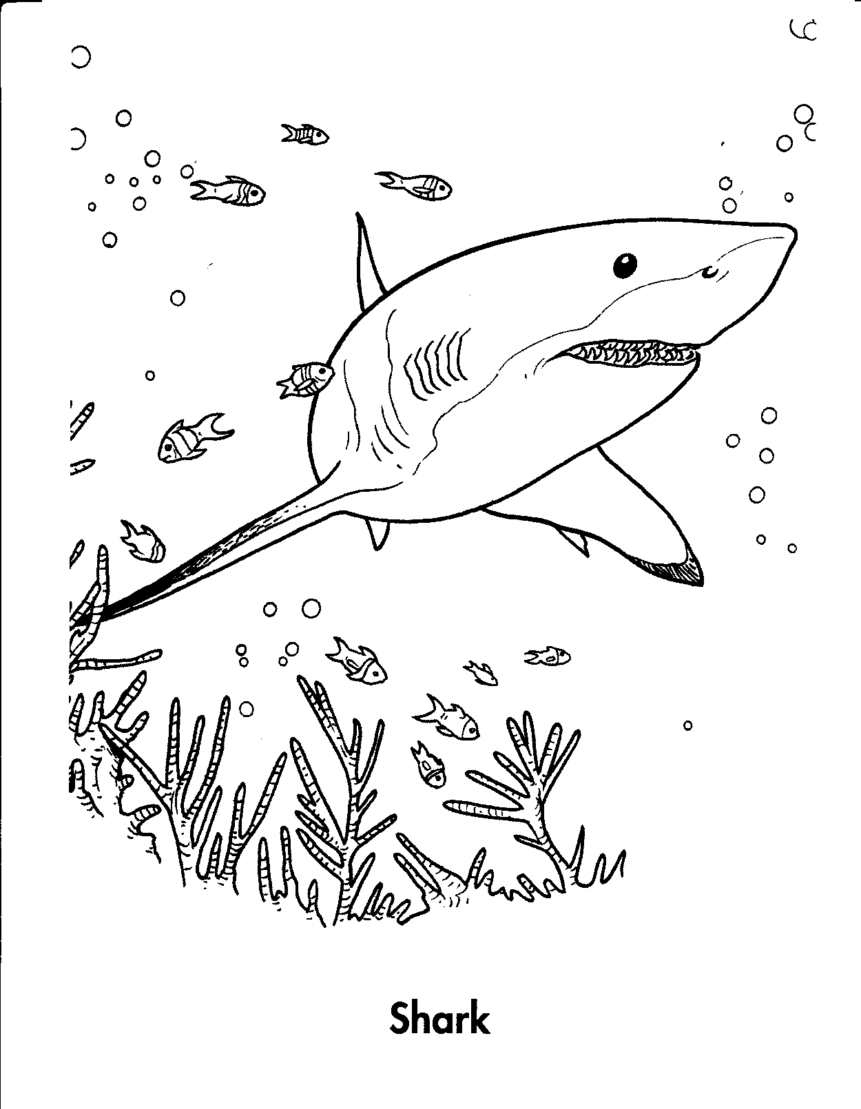 free sharks coloring pages