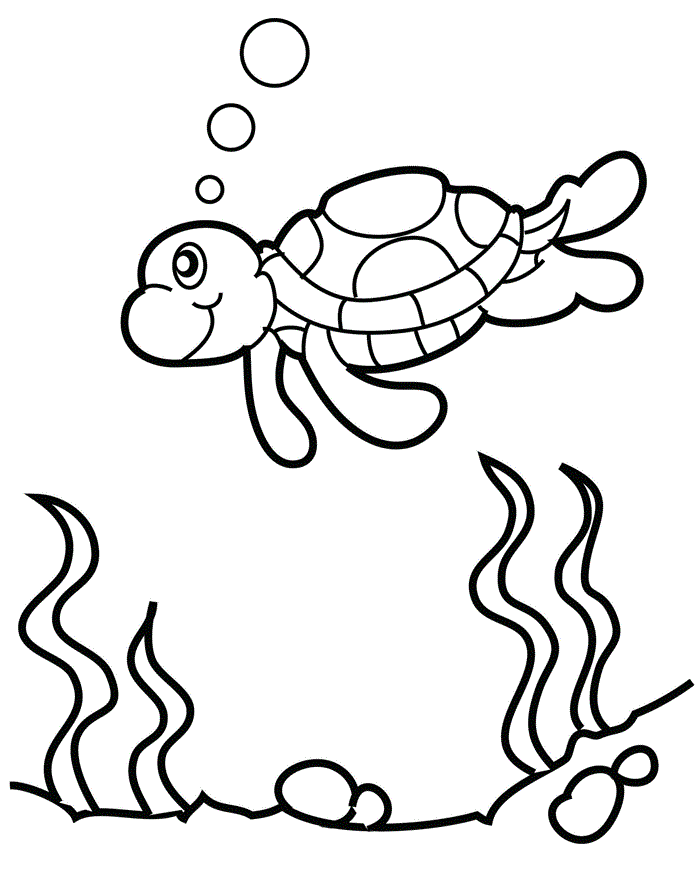 seaturtle coloring pages