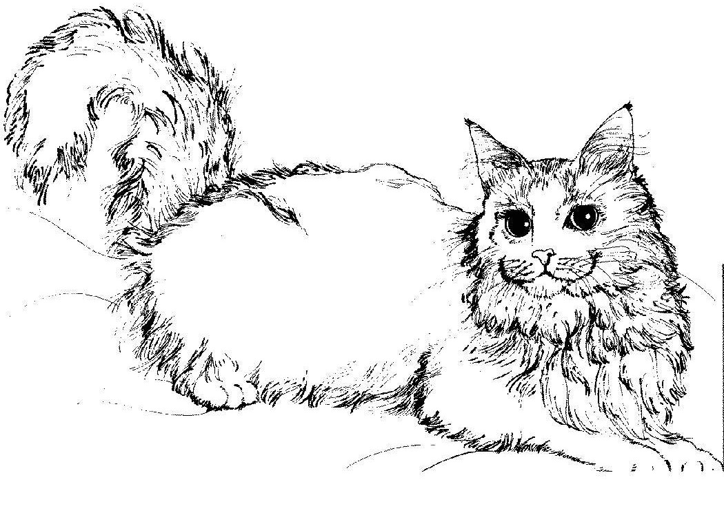 Free Printable Cat Coloring Pages For Kids Coloring Wallpapers Download Free Images Wallpaper [coloring436.blogspot.com]
