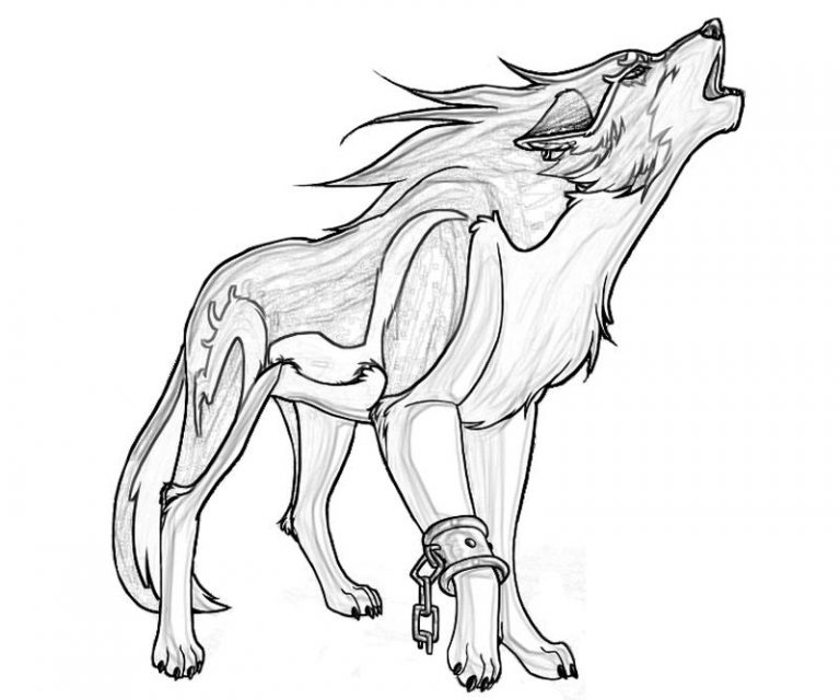 Free Printable Wolf Coloring Pages For Kids