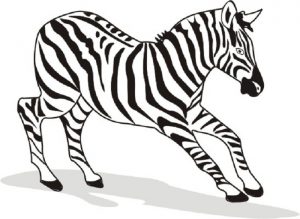 free printable zebra coloring pages for kids