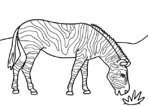 Free Printable Zebra Coloring Pages For Kids