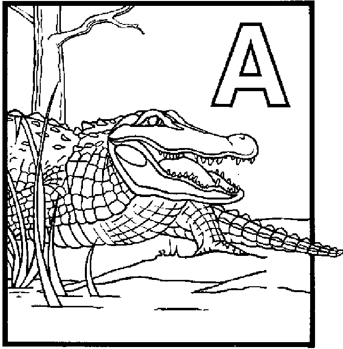 A Is For Alligator Coloring Page