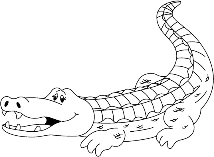 Alligator Coloring Page