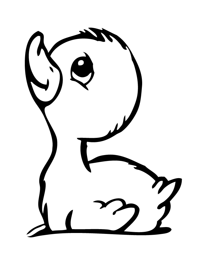 Duck Coloring Pages Best Coloring Pages For Kids