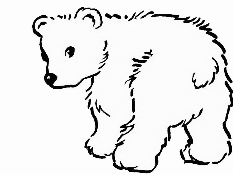 Bears coloring pages » Free & Printable » Bear coloring sheets