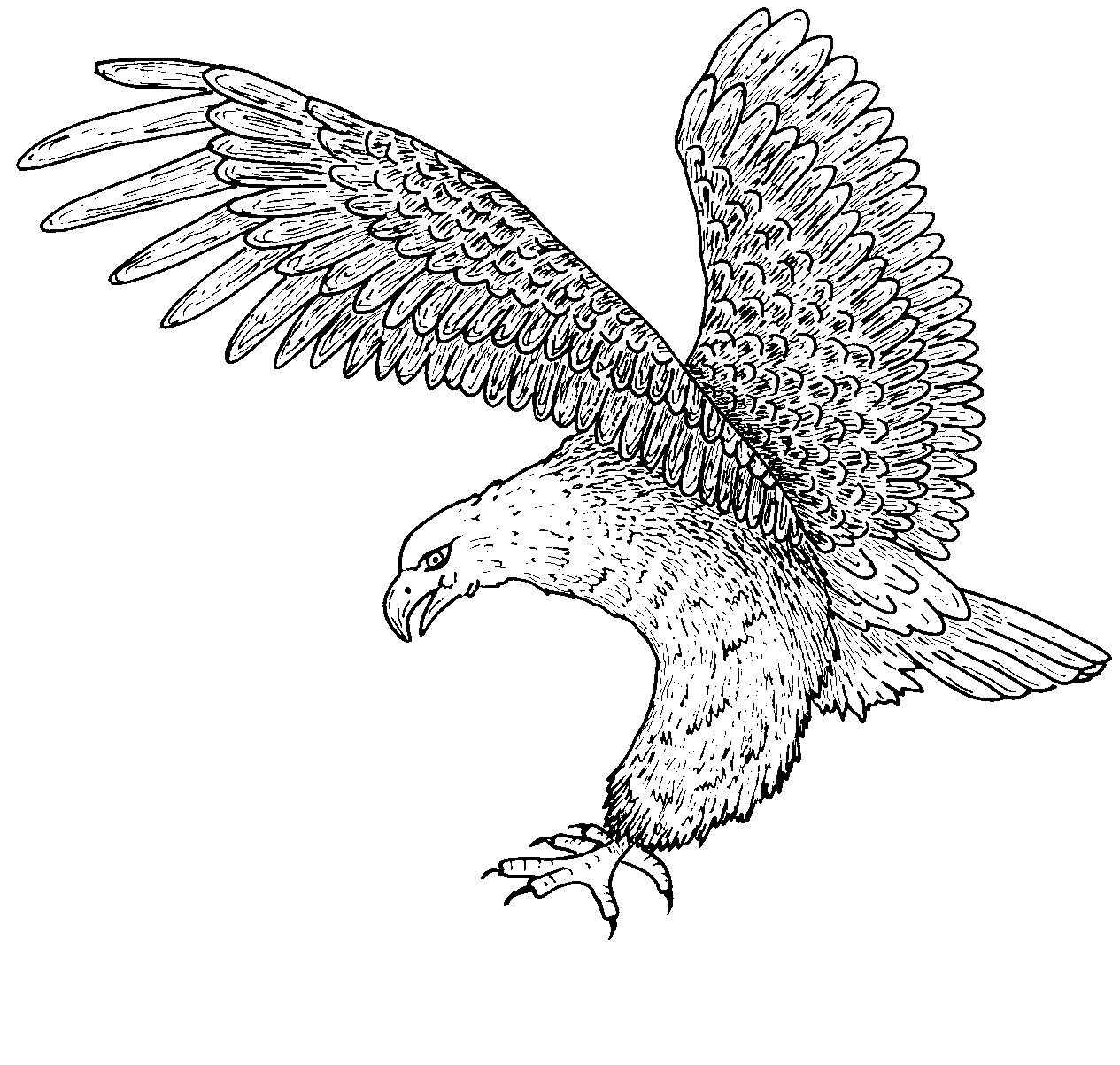 free-printable-bald-eagle-coloring-pages-for-kids
