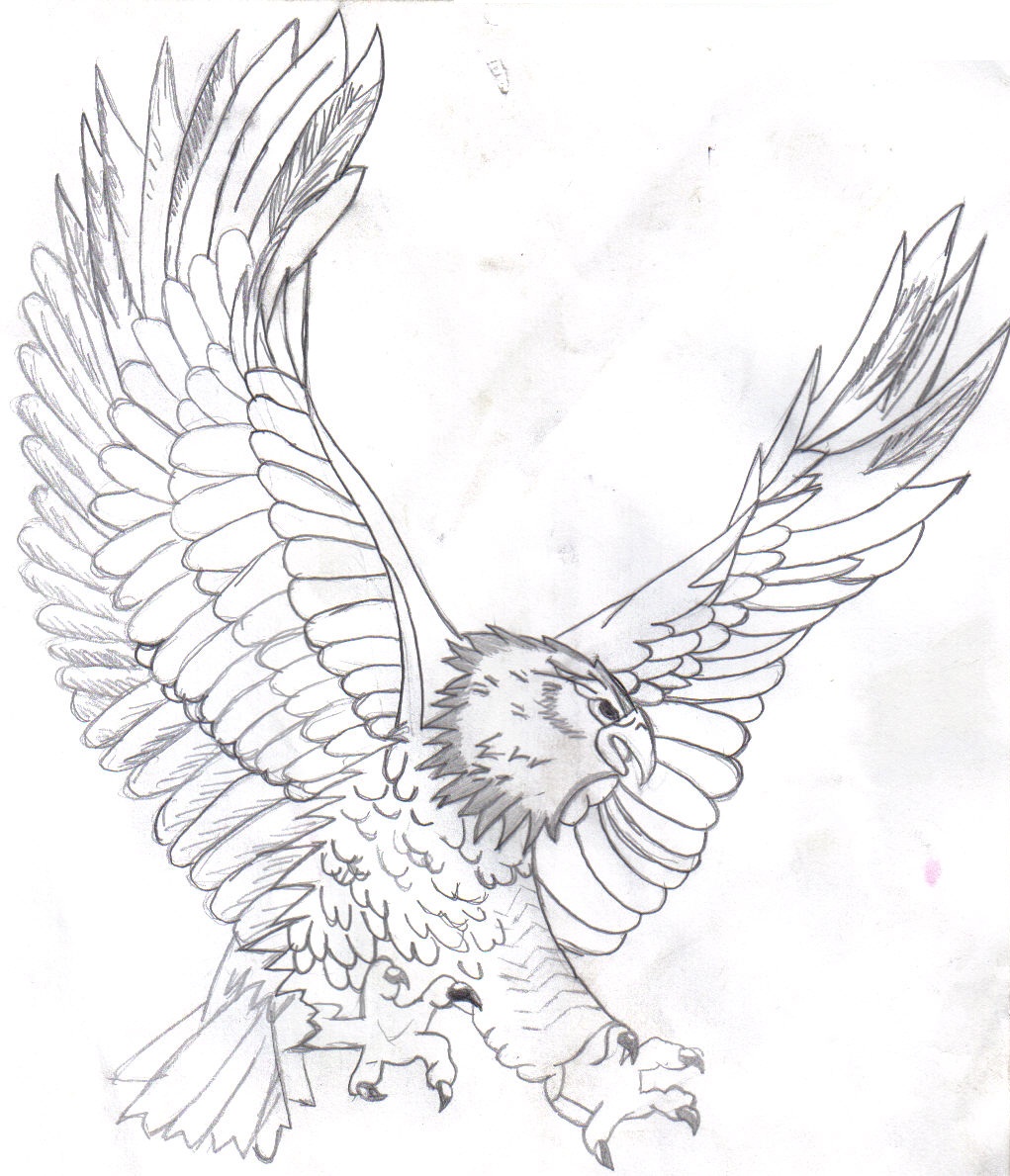 Eagle Coloring Page For Kids