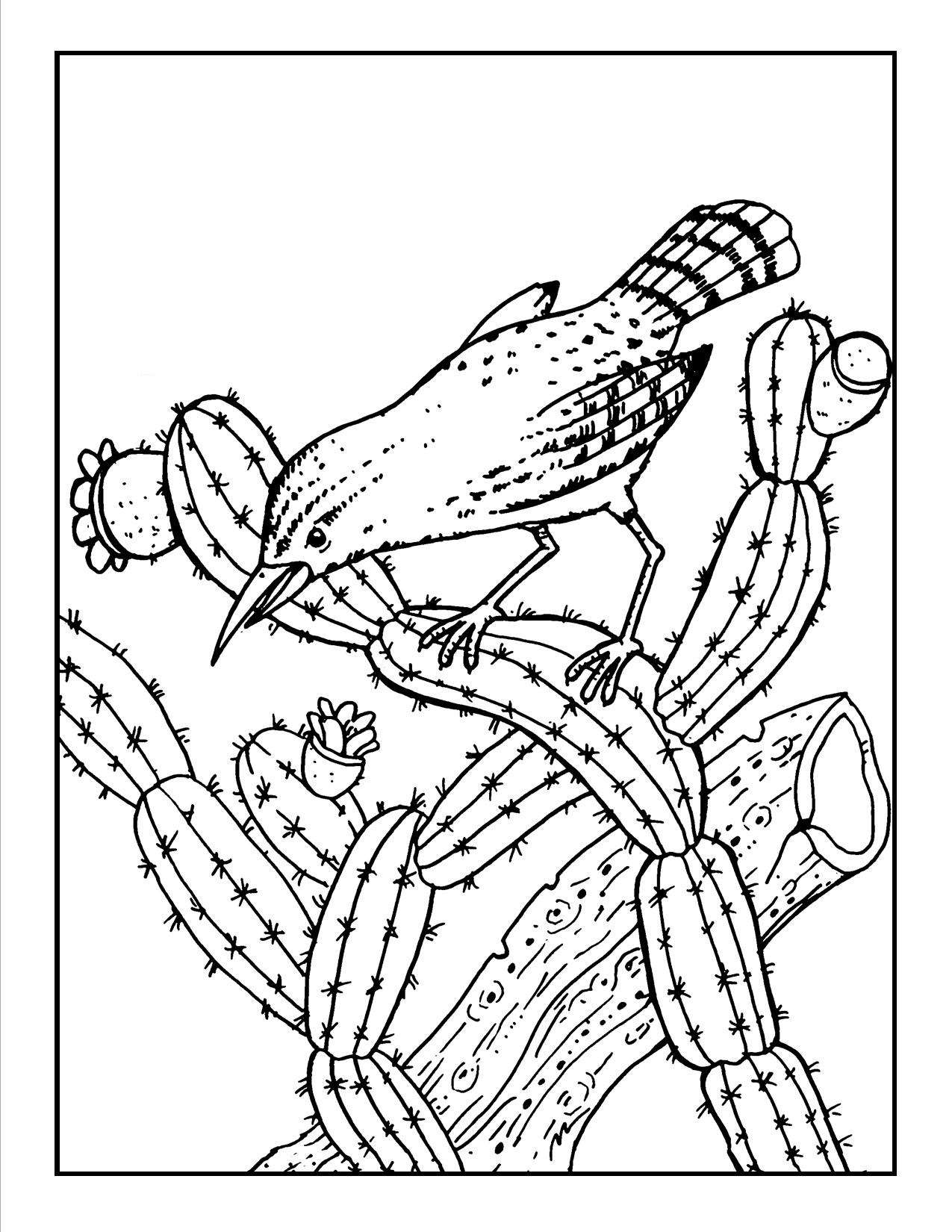 Download Free Printable Cactus Coloring Pages For Kids
