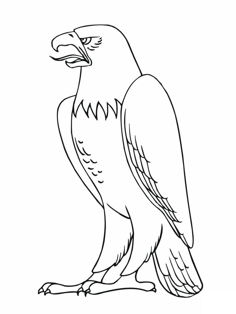 Download Free Printable Bald Eagle Coloring Pages For Kids