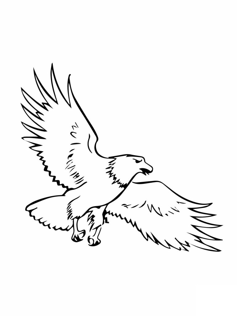 coloring-pictures-of-eagles-free-printable-bald-eagle-coloring-pages
