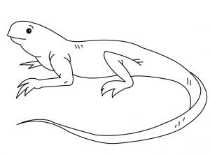 Free Printable Iguana Coloring Pages For Kids