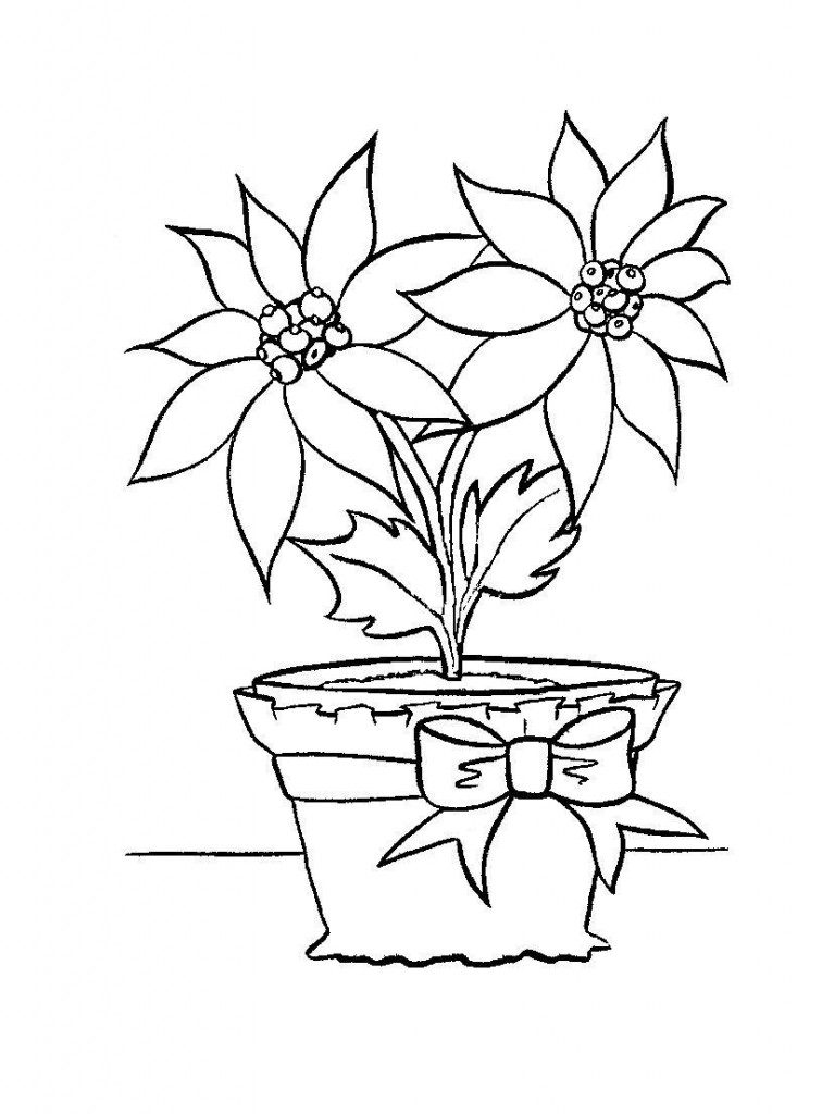 12-tropical-coloring-pages-for-adults-flowers-roses-coloring-garden