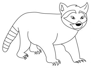 free printable raccoon coloring pages for kids