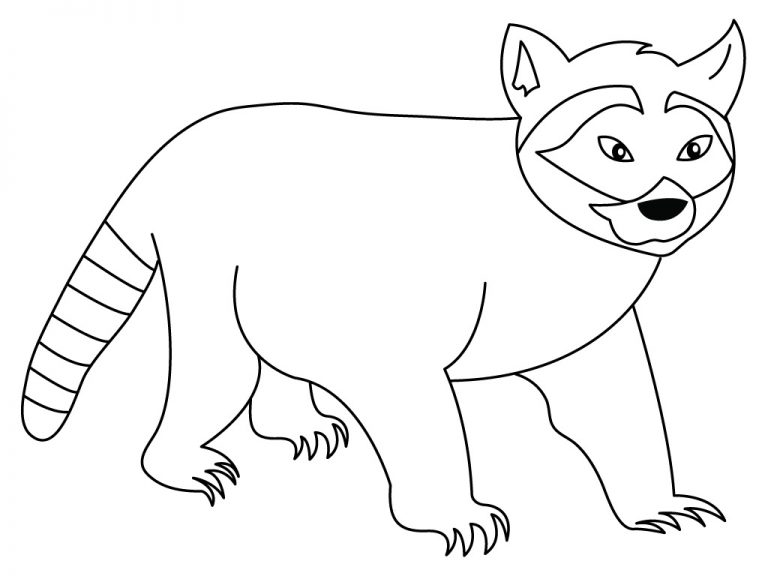 Free Printable Raccoon Coloring Pages For Kids