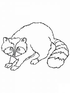 free printable raccoon coloring pages for kids