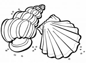 Free Printable Seashell Coloring Pages For Kids