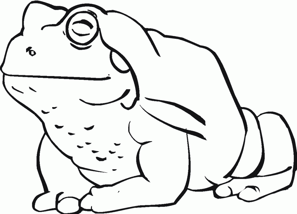 Toad Coloring Pages 9