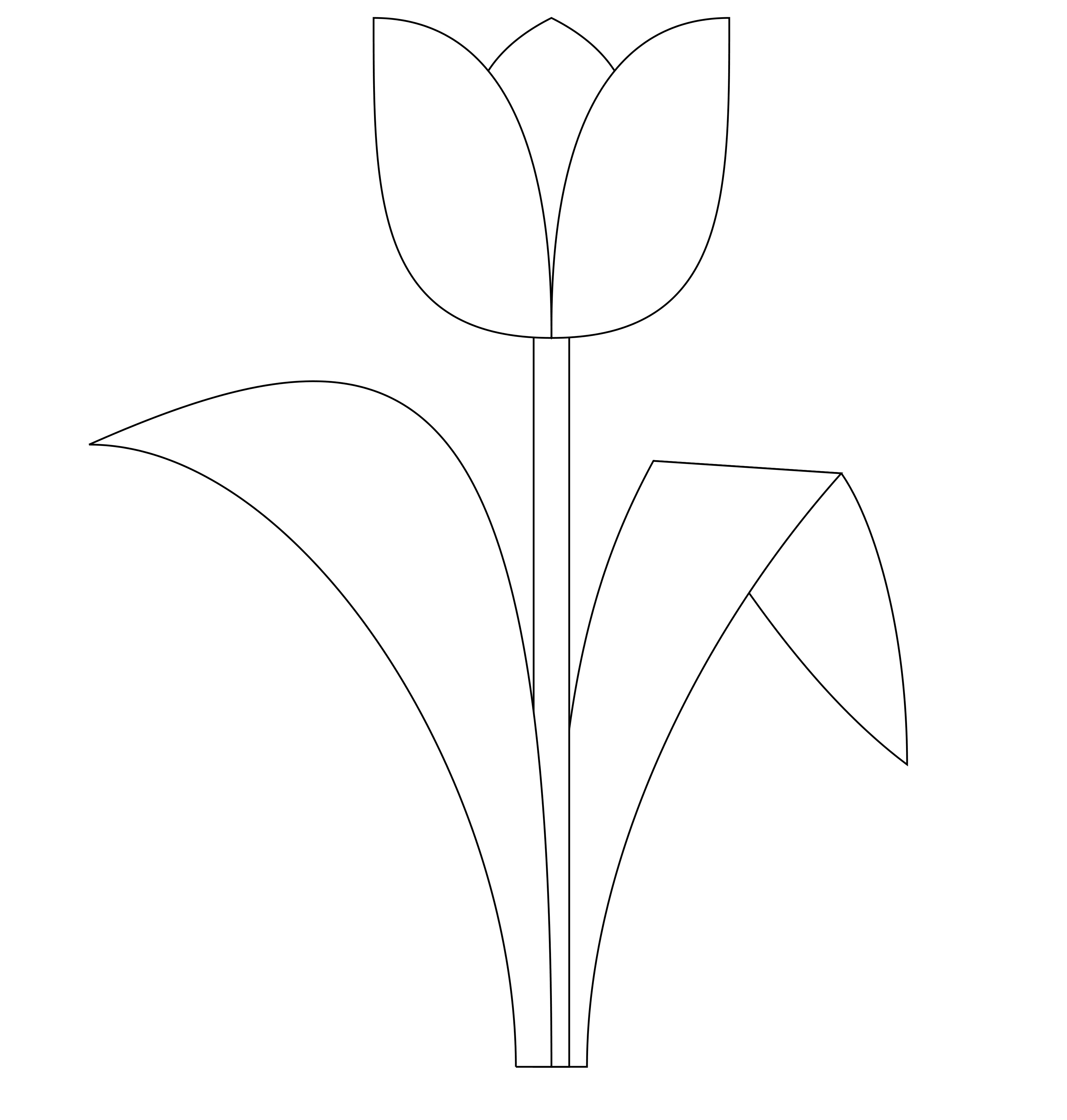 Tulip Template Printable Printable Word Searches