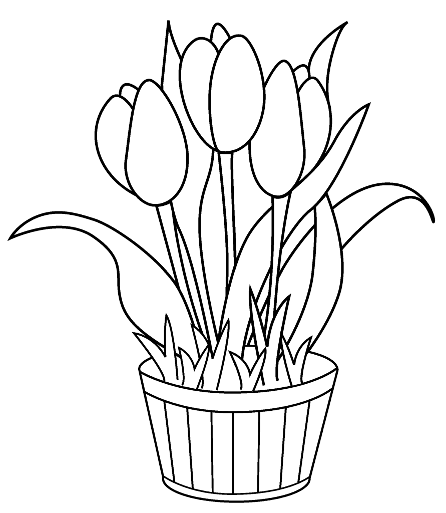 Printable Tulip Coloring Pages - Printable World Holiday