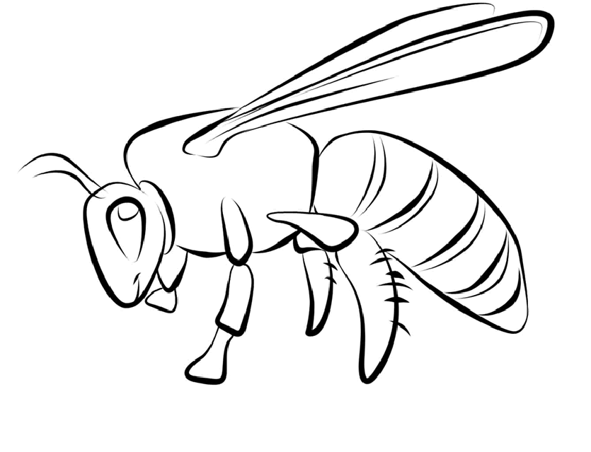 Bee Coloring Page