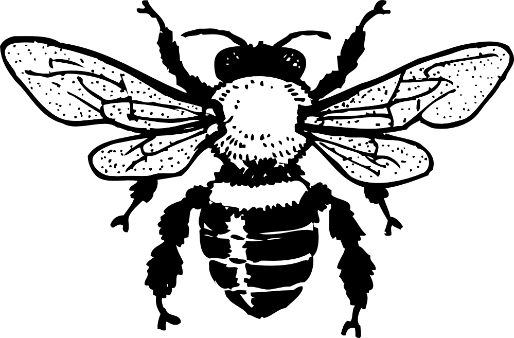 Bumble Bee Coloring Page