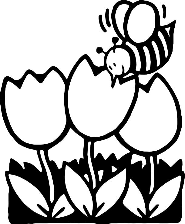 Bumble Bee On Tulips Coloring Page