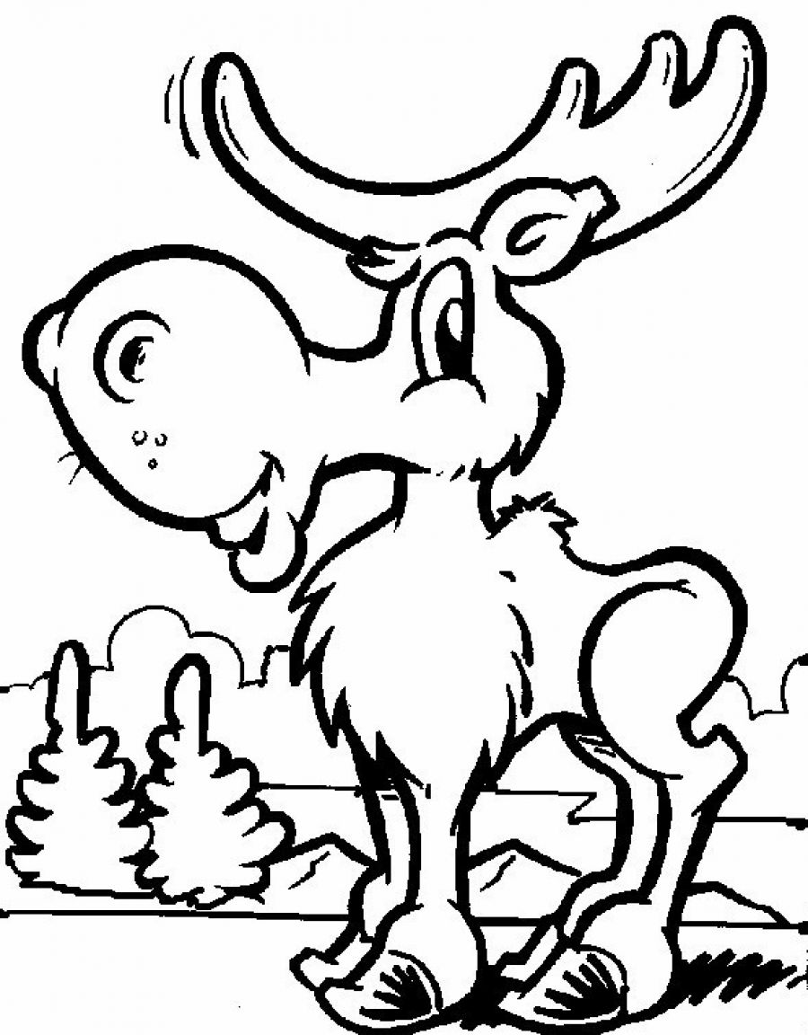 Moose Coloring Sheet 1