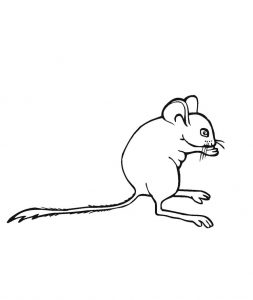 Free Printable Mouse Coloring Pages For Kids