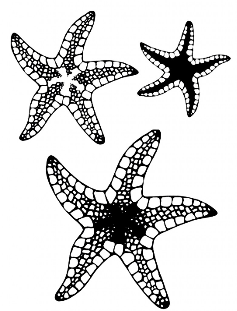 free-printable-starfish-coloring-pages-for-kids