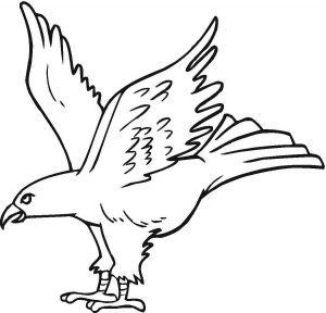 Free Printable Eagle Coloring Pages For Kids